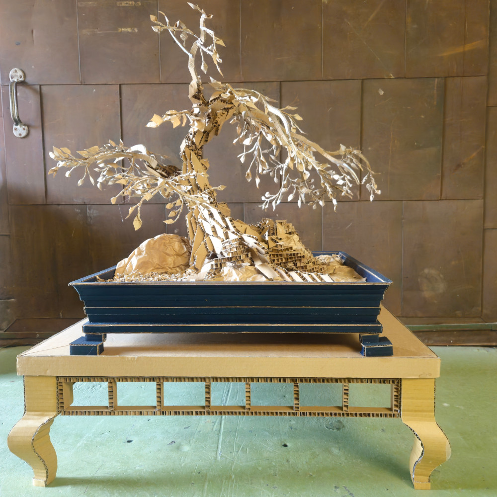bonsai 1