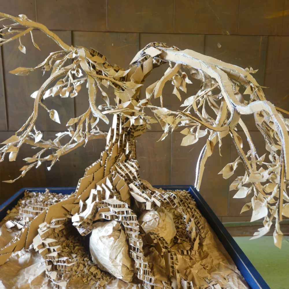 bonsai 2